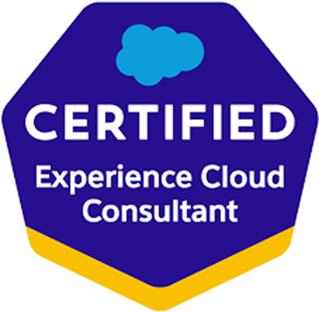 truesolv experience cloud consultant