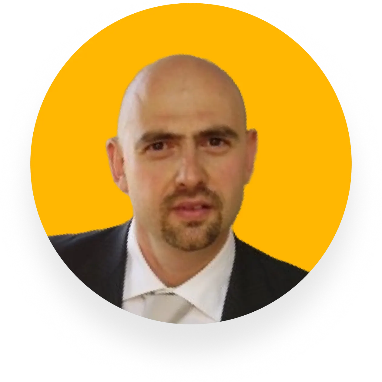 Michele Delia — Business Unit Manager, WebResults, TrueSolv Salesforce review